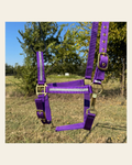 Purple Bling Nylon Horse Halter BNHPUR on a warm cream background