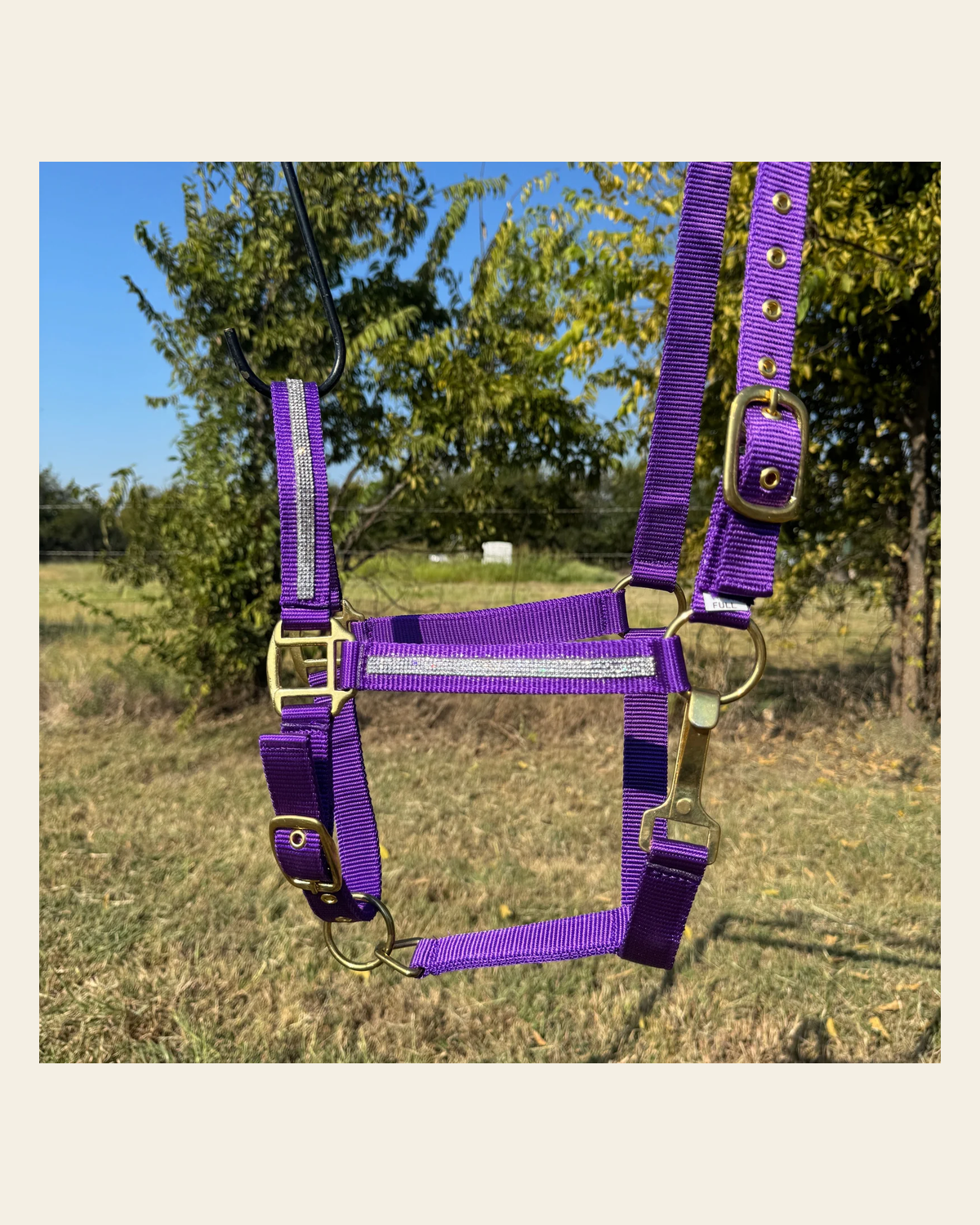 Purple Bling Nylon Horse Halter BNHPUR on a warm cream background