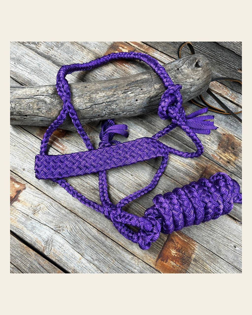 Purple Flat Braided Mule Tape Halter on a warm cream background