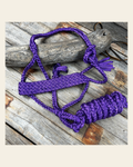 Purple Flat Braided Mule Tape Halter on a warm cream background
