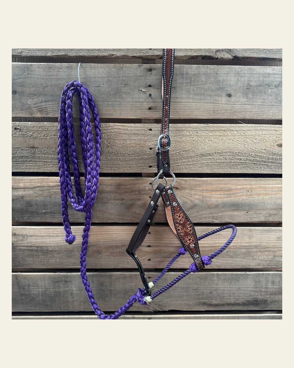 Purple Flower Power Tooled Lariat & Leather Combo Halter on a warm cream background