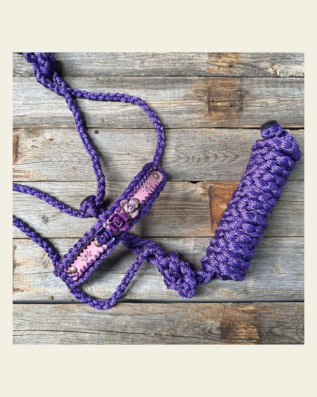 Purple Mule Tape Halter - Purple Roses #MT222 on a warm cream background