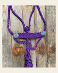 Purple Mule Tape Halter - Turquoise #MT107 on a warm cream background