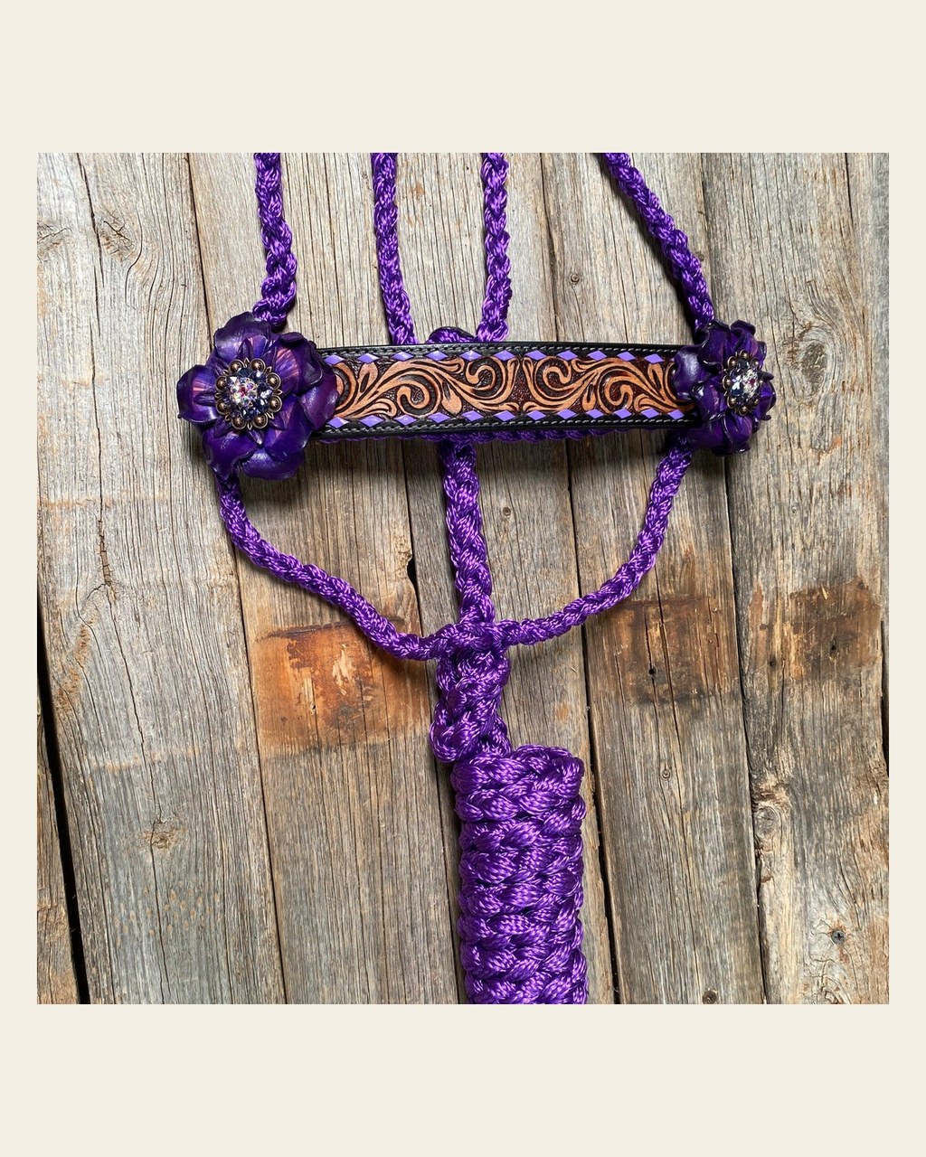 Purple Mule Tape Halter - Purple Gardenia #MT207 on a warm cream background