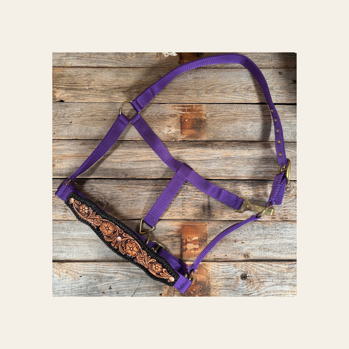 Purple Nylon Halter with Floral Leather Noseband #NH118