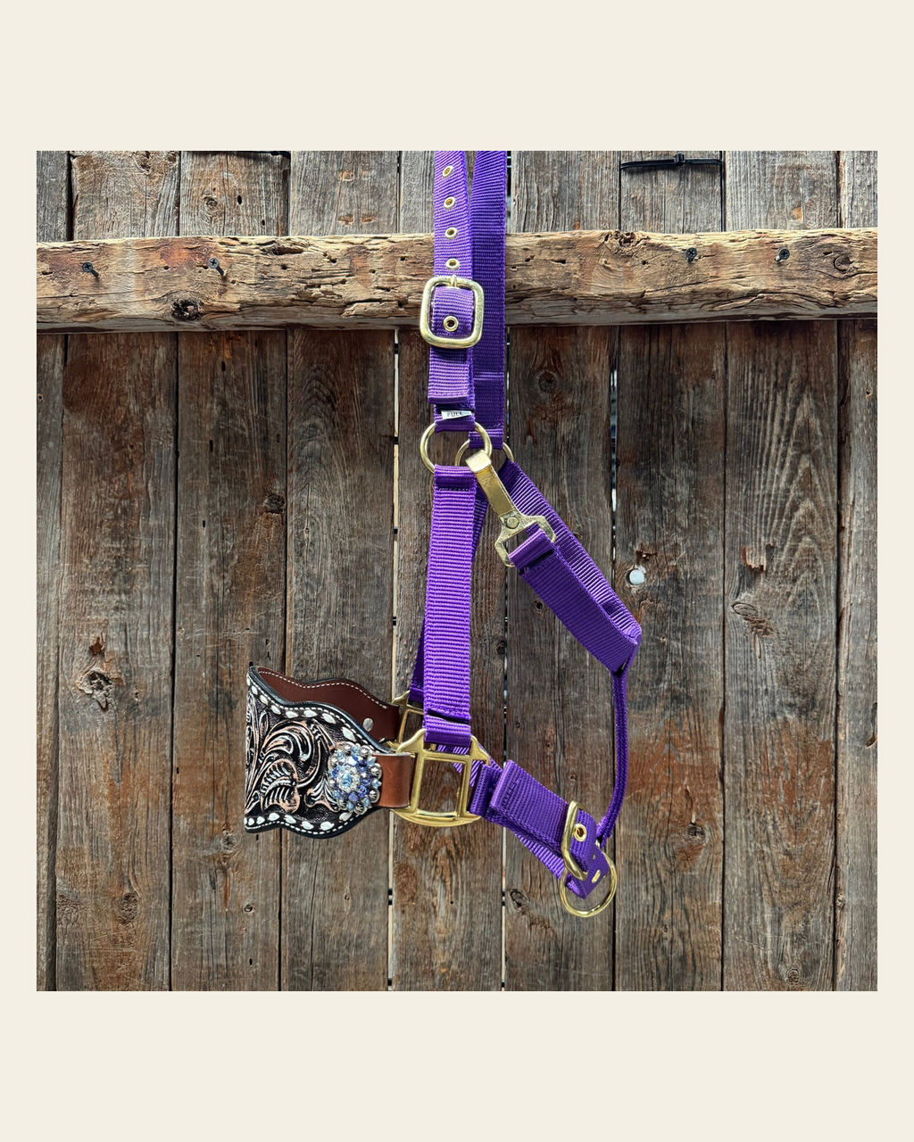 Purple Nylon Horse Halter – Bronc Noseband with Crystal Conchos NH108 on a warm cream background
