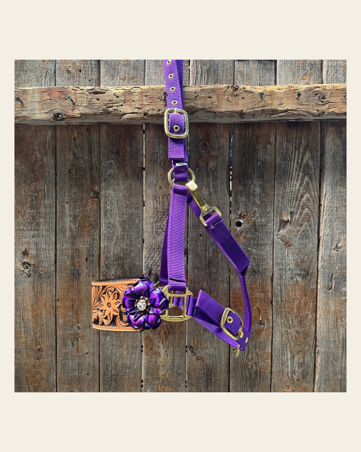 Purple Nylon Horse Halter – Bronc Noseband with Crystal Conchos NH109 on a warm cream background
