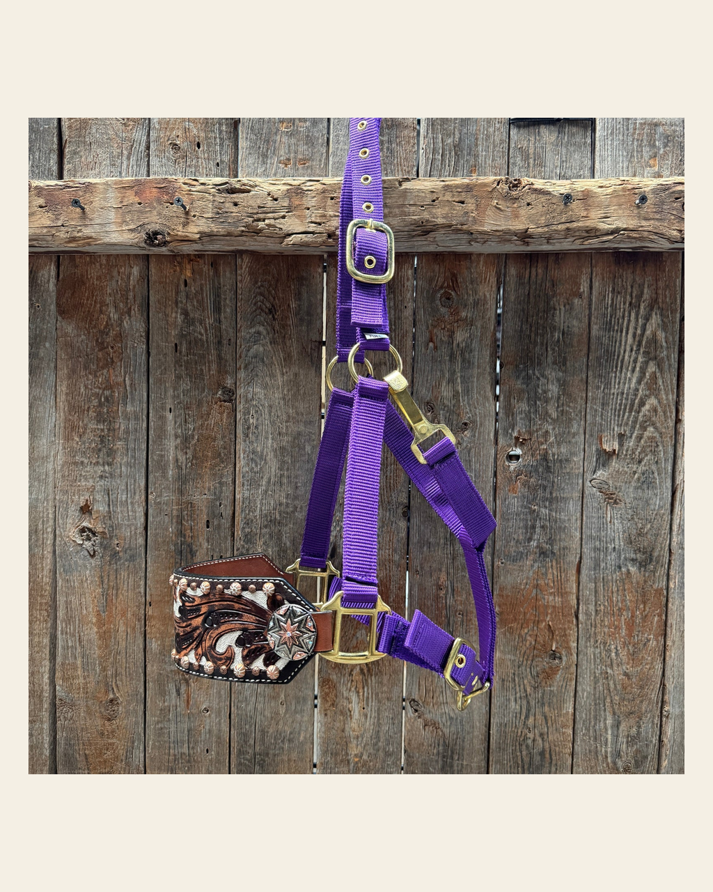 Purple Nylon Horse Halter – Bronc Noseband with Western Conchos NH110 on a warm cream background