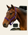 Purple Nylon Horse Halter NHPUR on a warm cream background
