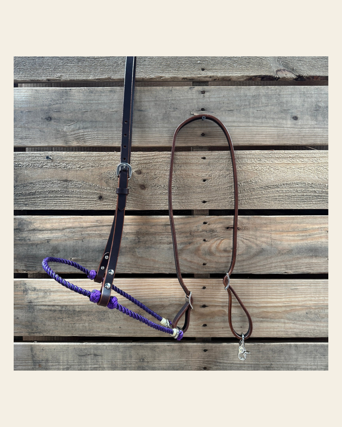 Purple Single Rope Noseband Lariat with Leather Hanger #HAN104 on a warm cream background