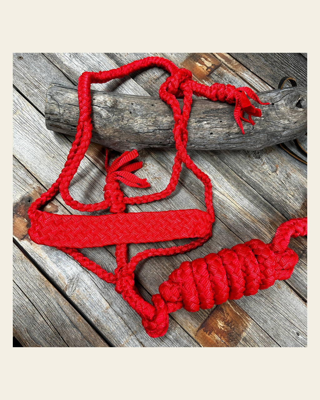 Red Flat Braided Mule Tape Halter on a warm cream background