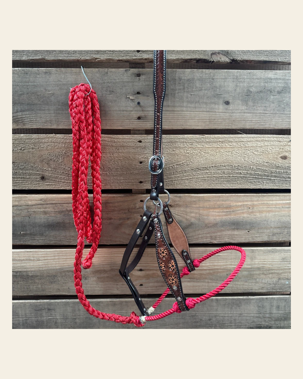 Red Flower Power Tooled Lariat & Leather Combo Halter on a warm cream background