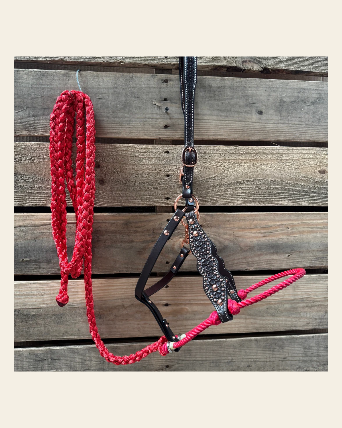 Red Honeycomb Tooled Lariat & Leather Combo Halter on a warm cream background