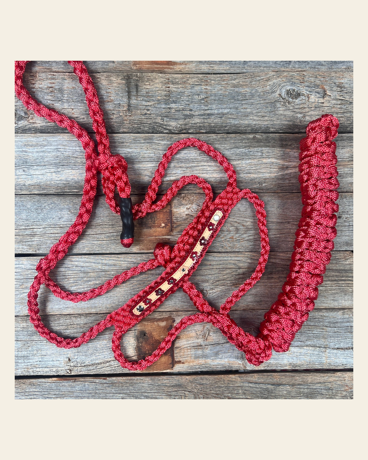 Red Mule Tape Halter - Multicolored Flowers #MT238 on a warm cream background