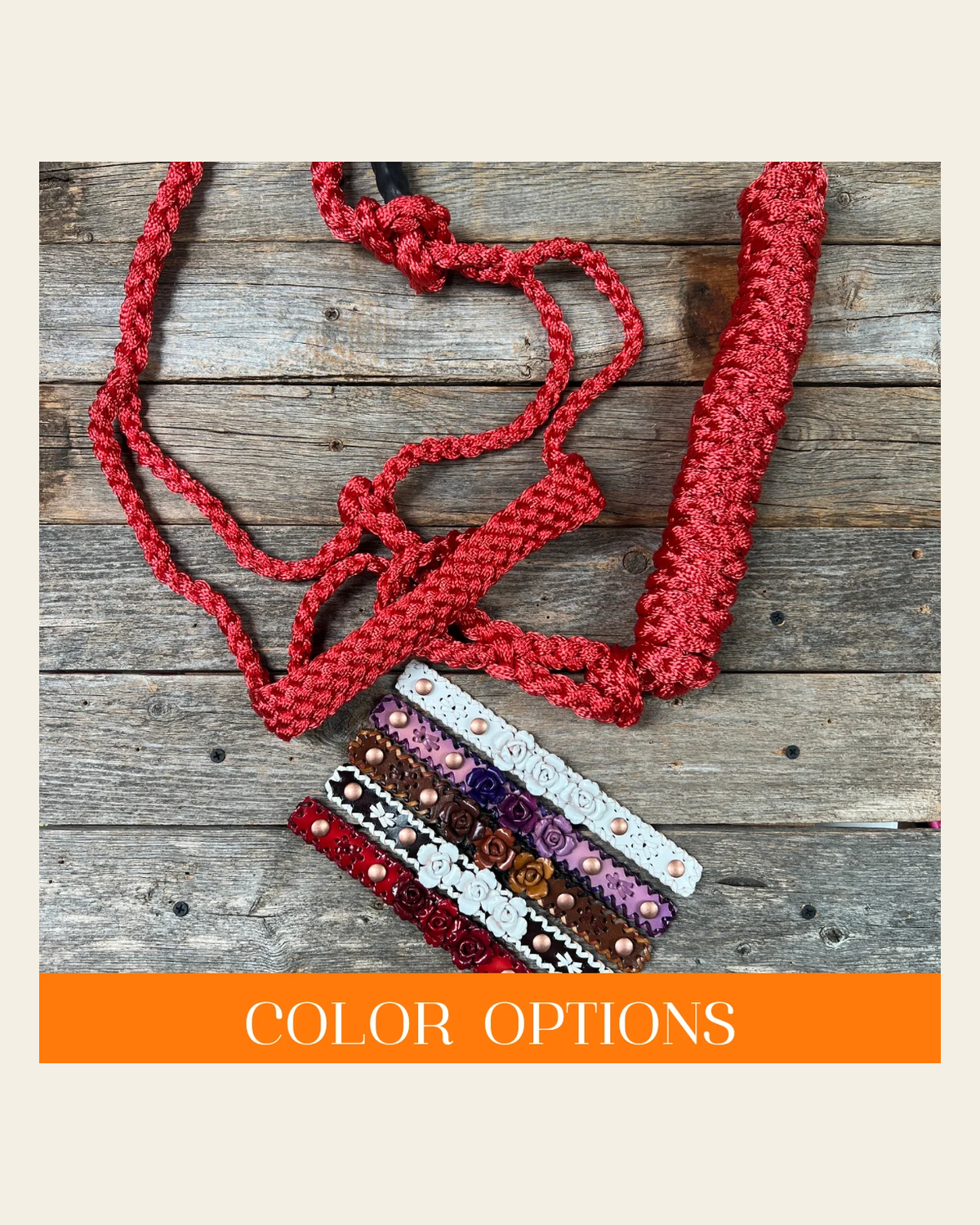 Rose - Red Mule Tape Halter on a warm cream background
