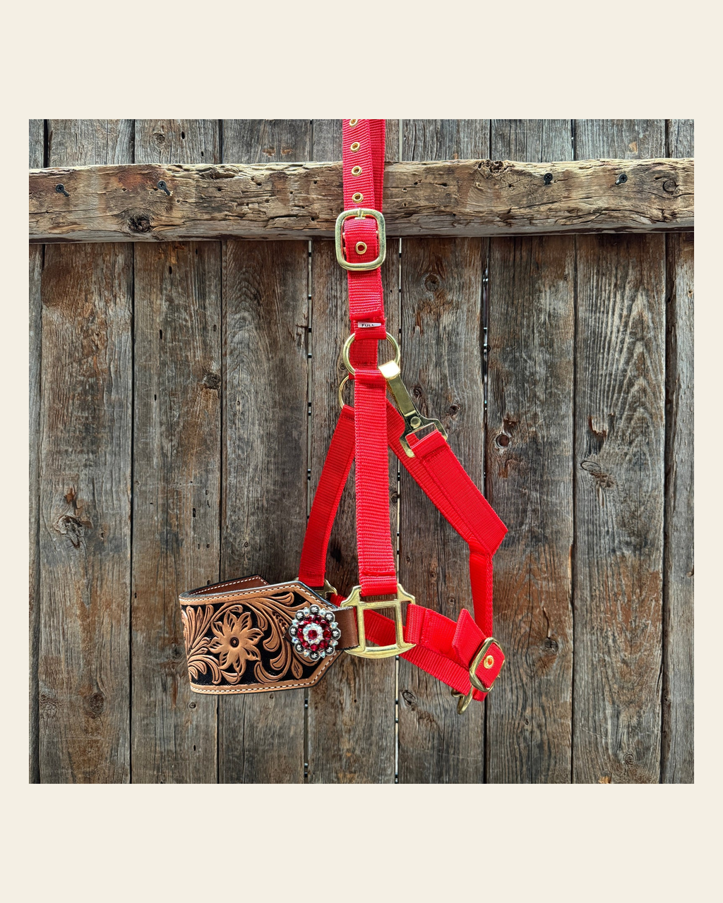 Red Nylon Horse Halter – Bronc Noseband with Crystal Conchos NH113 on a warm cream background