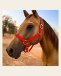 Red Nylon Horse Halter NHRED on a warm cream background
