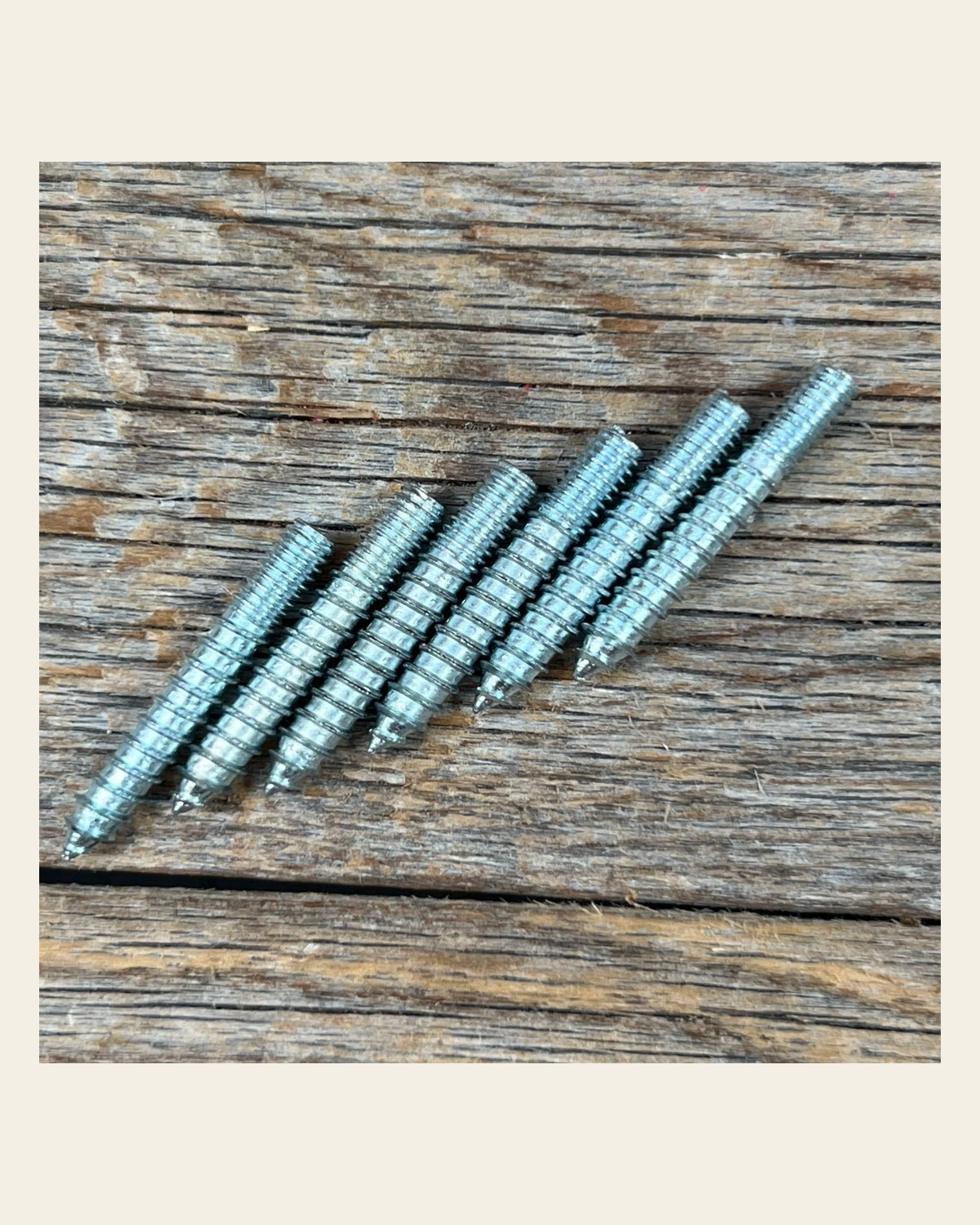 Saddle Screw Adapter PACK OF 6 . on a warm cream background