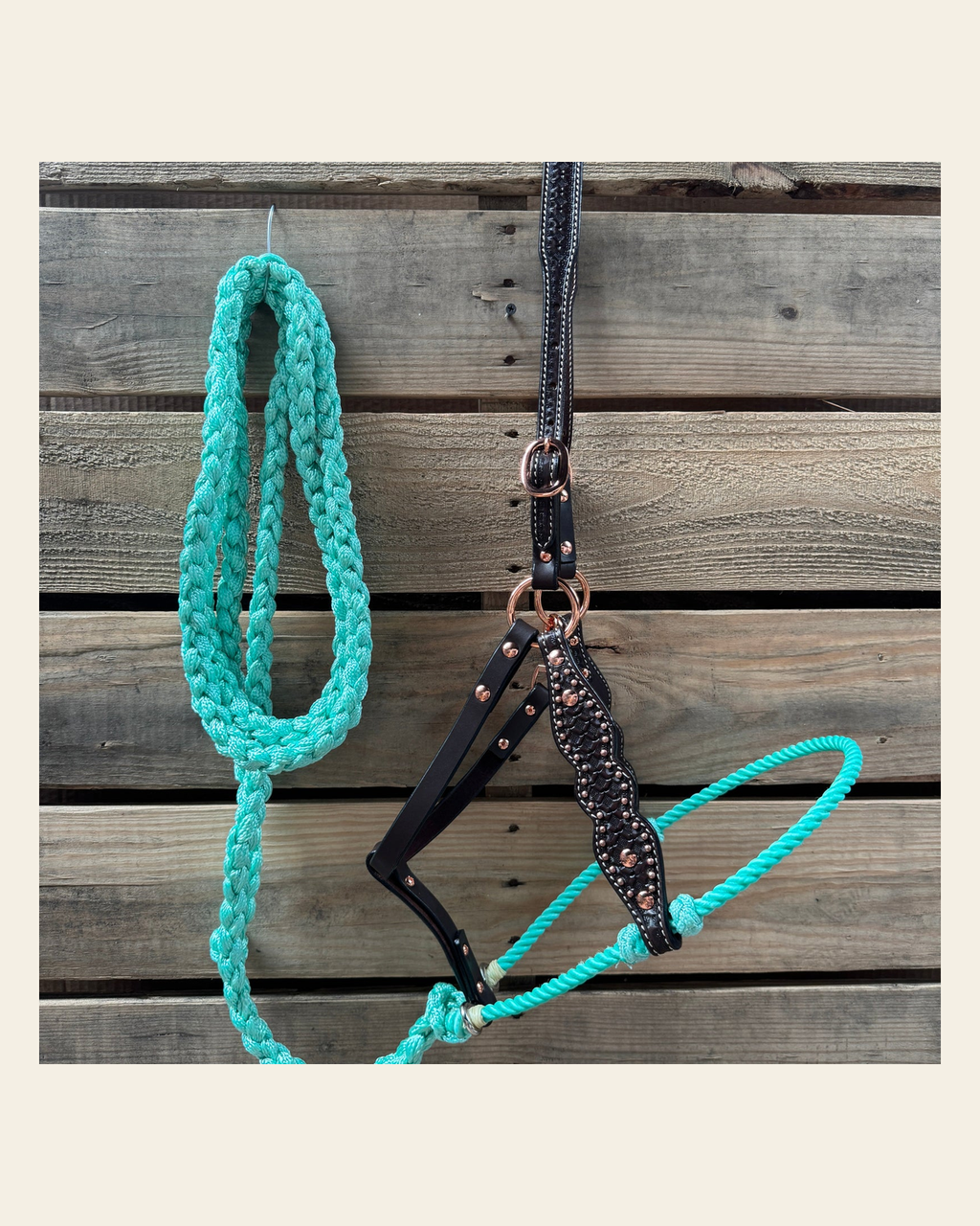 Turquoise Honeycomb Tooled Lariat & Leather Combo Halter on a warm cream background