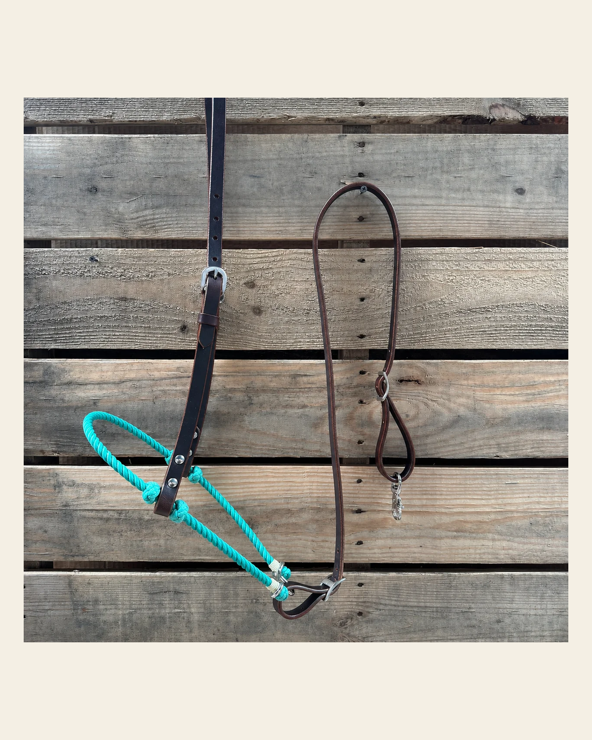 Turquoise Single Rope Noseband Lariat with Leather Hanger #HAN105 on a warm cream background
