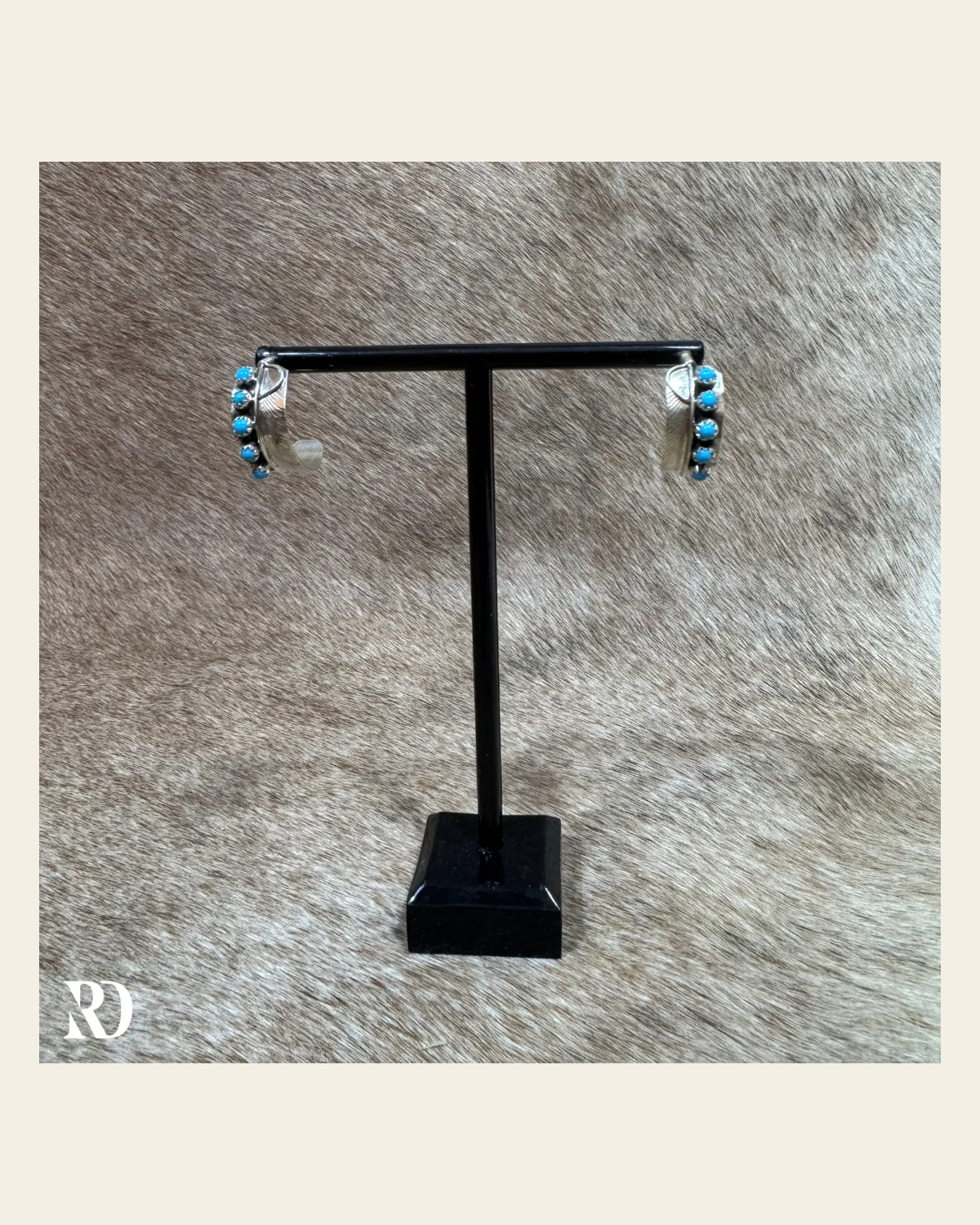 Small Feathered Hoop With Kingman Turquoise Earrings By Chester Charley on a warm cream background