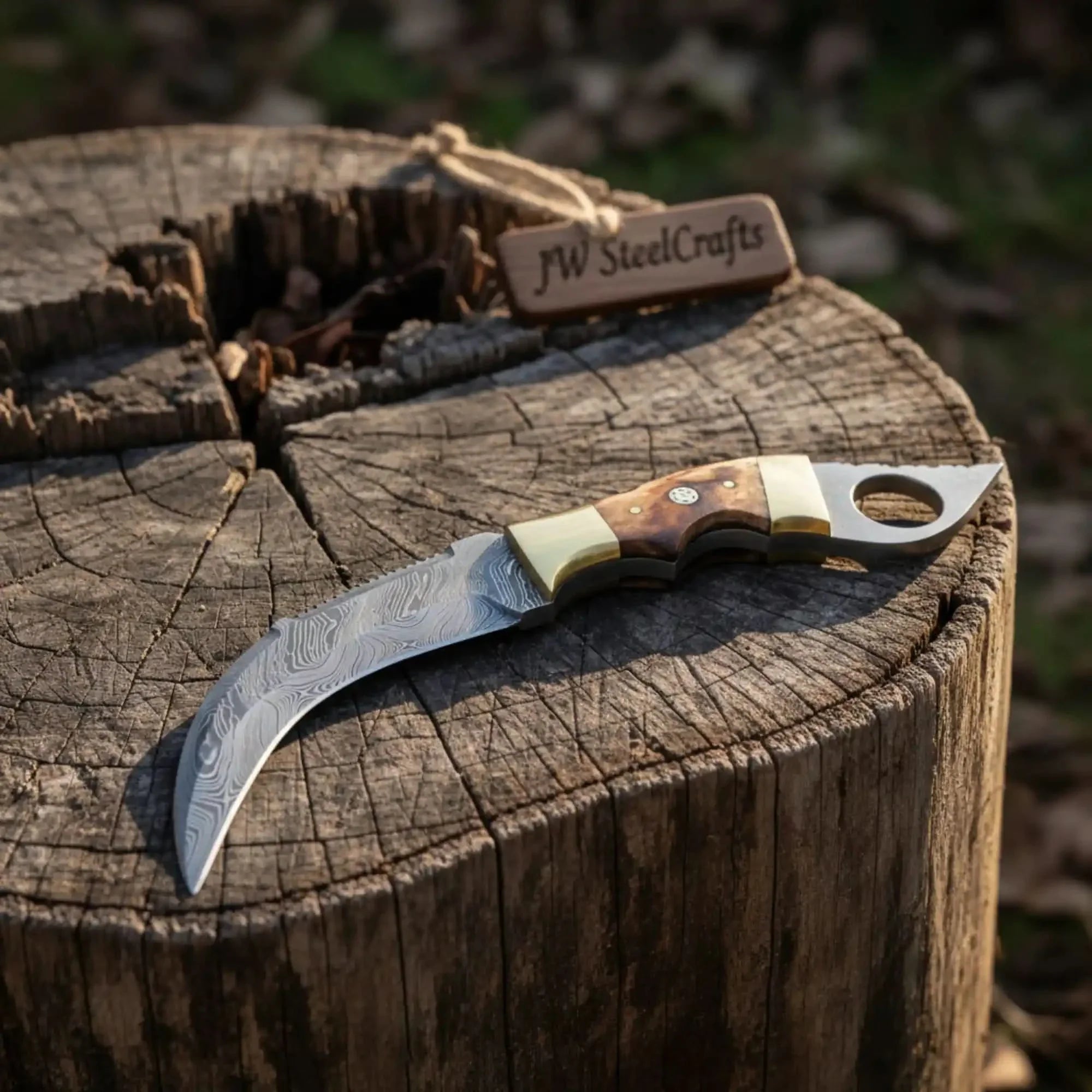 Damascus Steel Knife with Burned Bone Handle & Brass Bolster