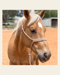 Tan Mule Tape Halter on a warm cream background