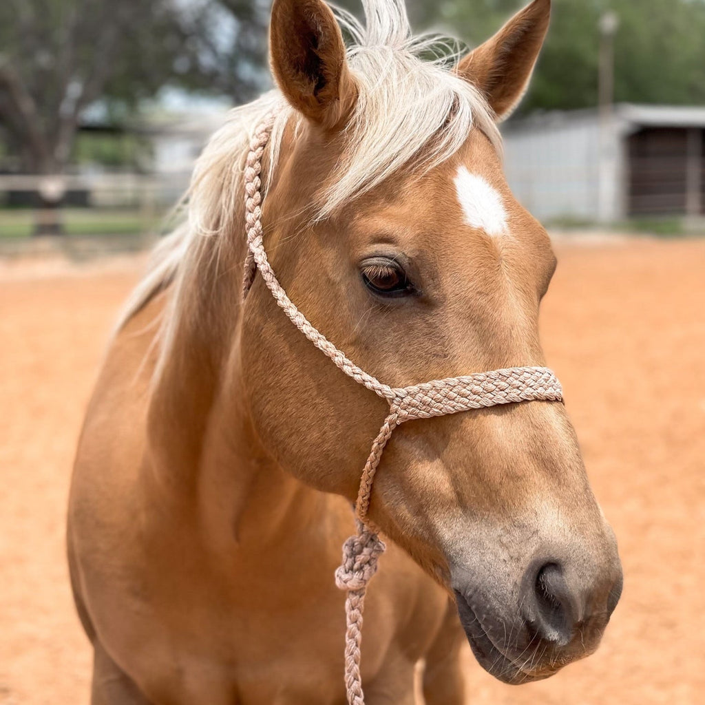 Mule Tape Halters - Assorted Colors- — view 7