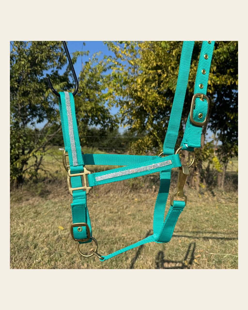 Teal Bling Nylon Horse Halter BNHTEAL on a warm cream background