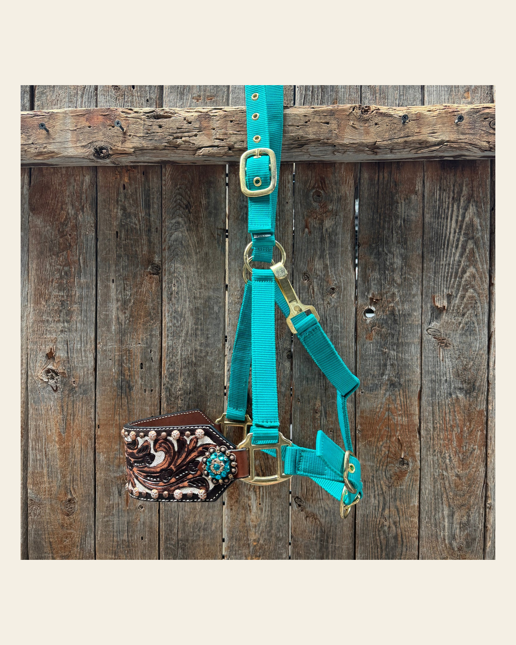 Teal Nylon Horse Halter – Bronc Noseband with Crystal Conchos NH105 on a warm cream background