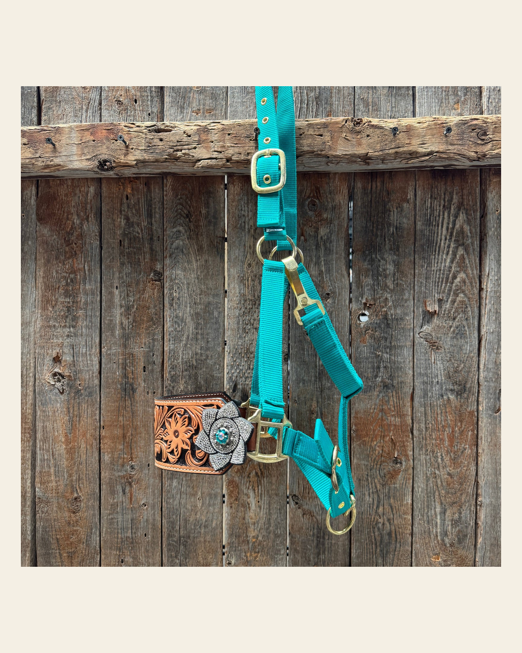 Teal Nylon Horse Halter – Bronc Noseband with Crystal Conchos NH106 on a warm cream background
