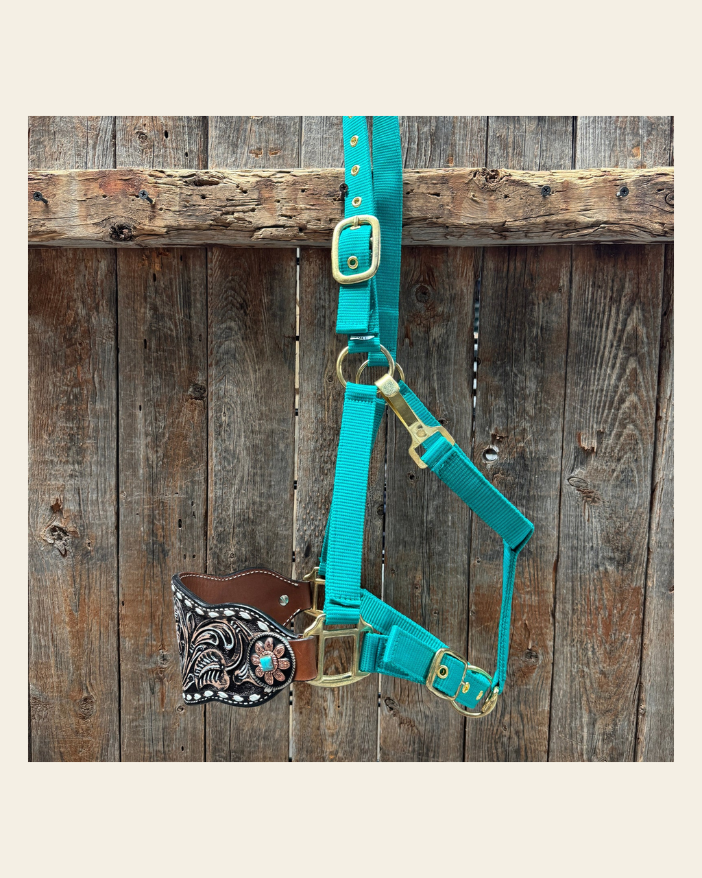 Teal Nylon Horse Halter – Bronc Noseband with Western Conchos NH107 on a warm cream background