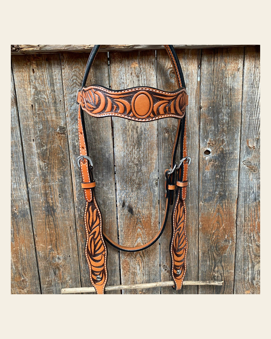 Two Tone Zebra Striped Browband Headstall/Bridle #241931 on a warm cream background