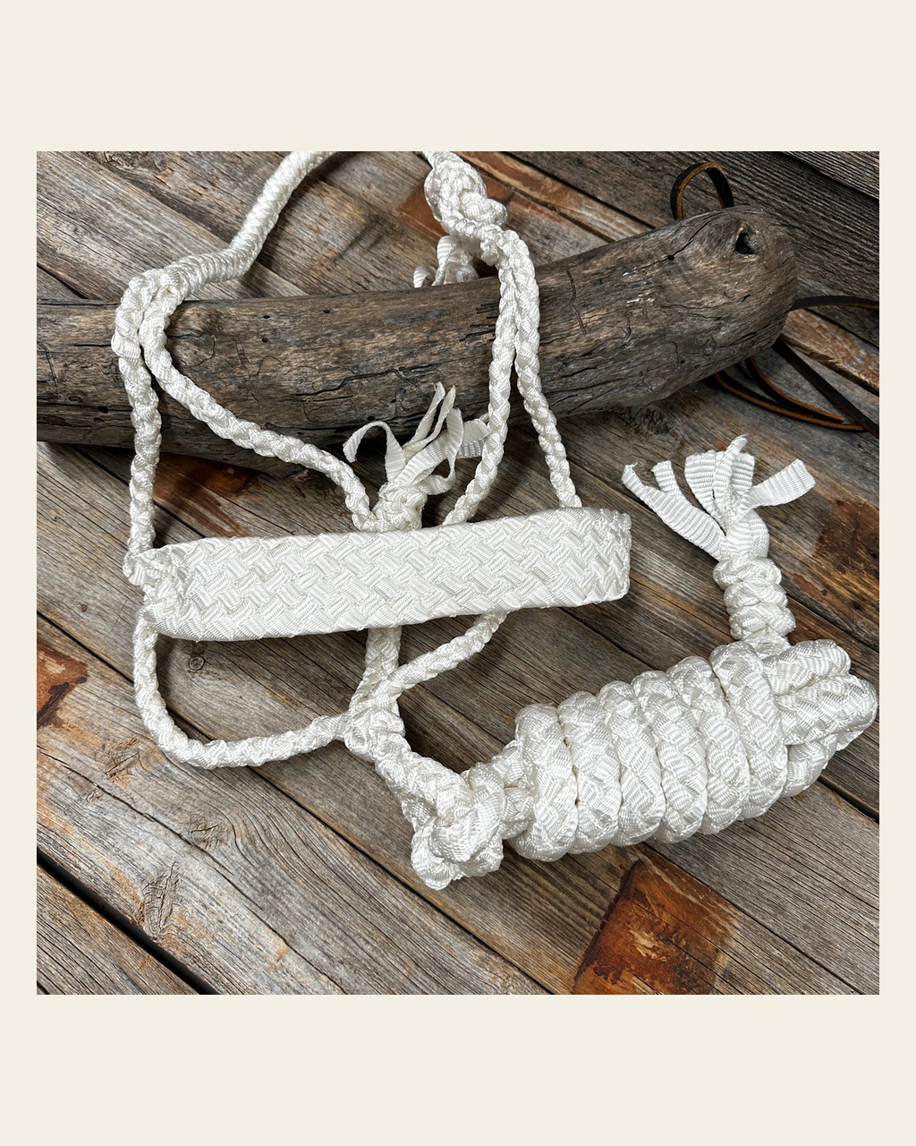 White Flat Braided Mule Tape Halter on a warm cream background