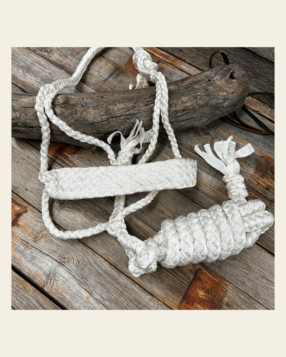 White Flat Braided Mule Tape Halter on a warm cream background