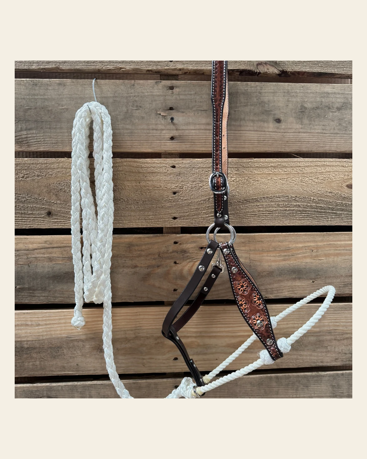 White Flower Power Tooled Lariat & Leather Combo Halter on a warm cream background