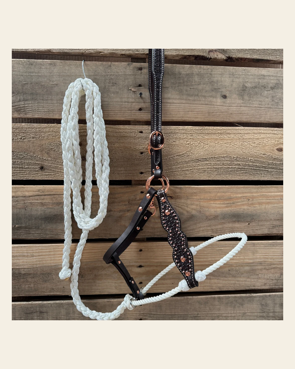 White Honeycomb Tooled Lariat & Leather Combo Halter on a warm cream background