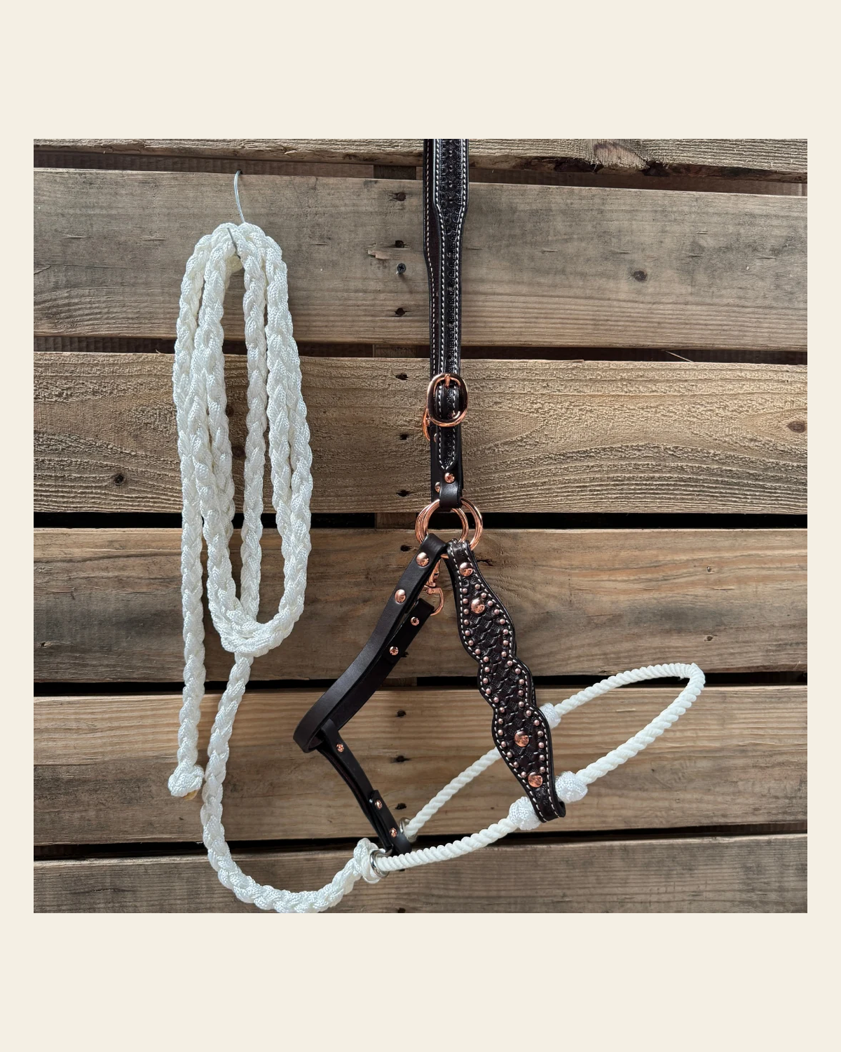 White Honeycomb Tooled Lariat & Leather Combo Halter on a warm cream background