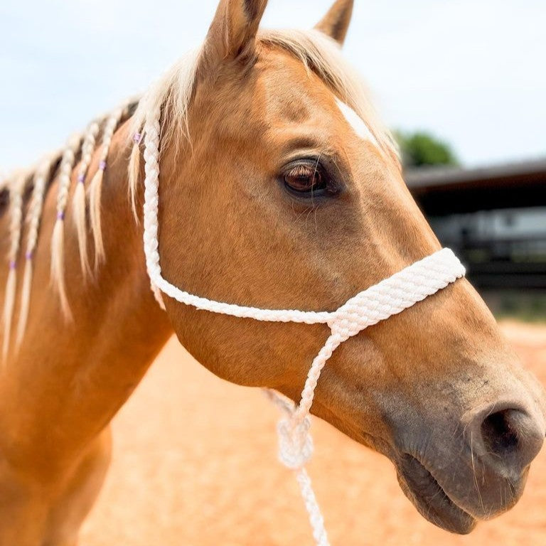 Mule Tape Halters - Assorted Colors- — view 2