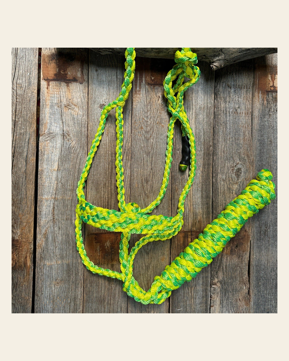 Yellow and Lime Mule Tape Halter on a warm cream background