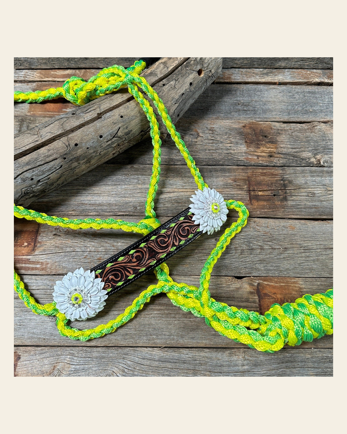 Yellow and Lime Mule Tape Halter - White Daisy #MT217 on a warm cream background