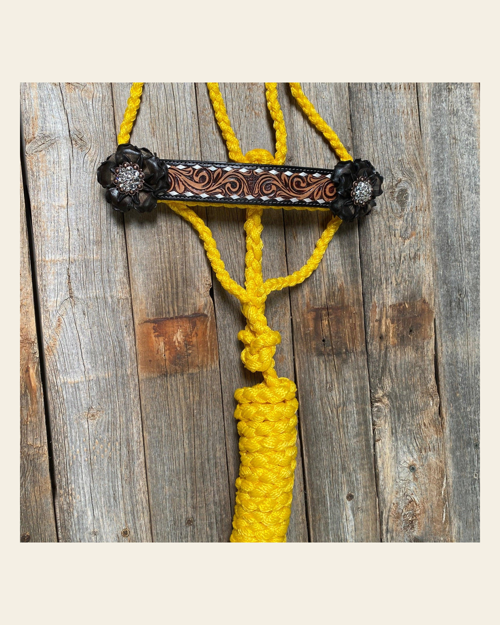 Yellow Mule Tape Halter - Black and Clear #MT201 on a warm cream background