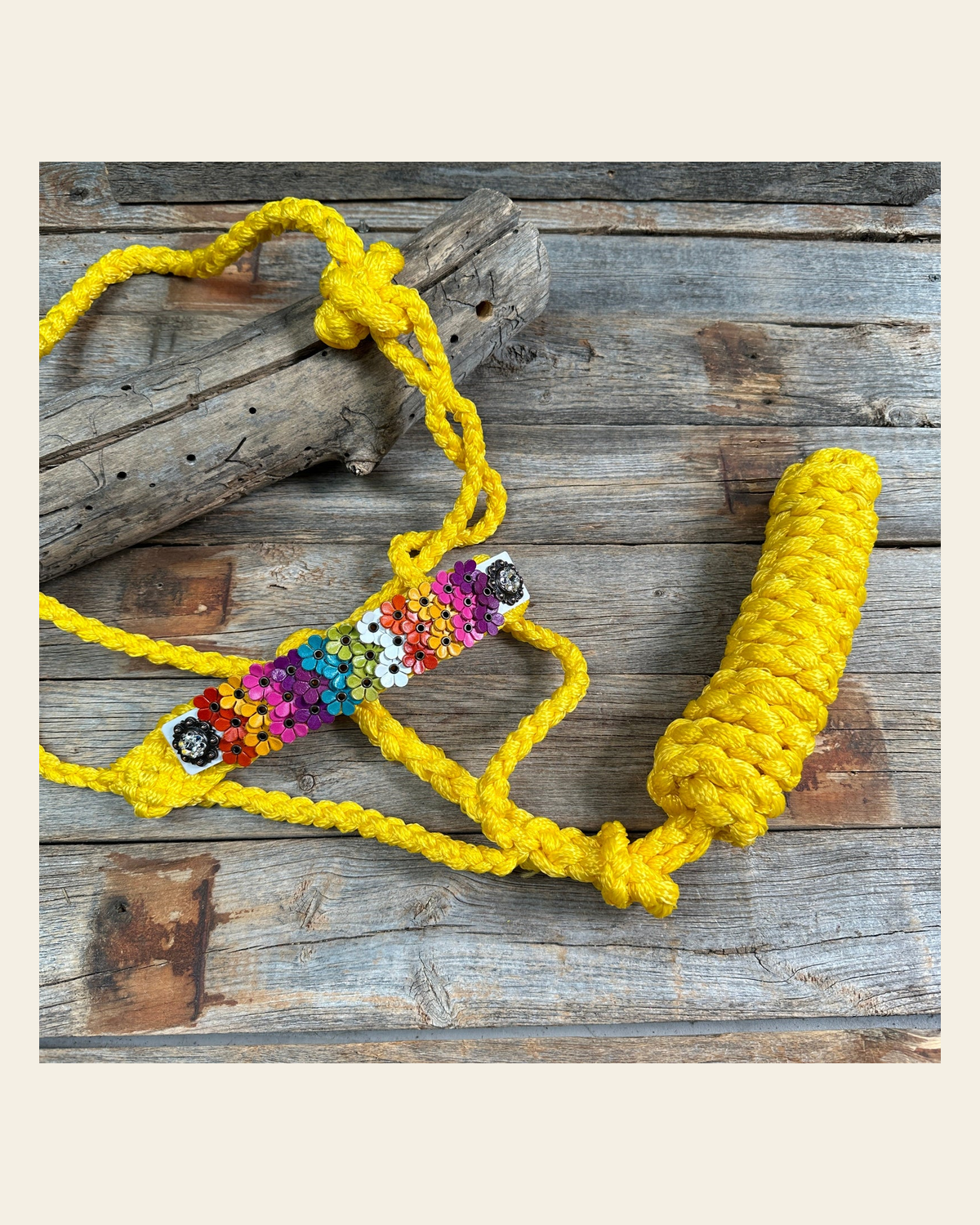 Yellow Mule Tape Halter - Multi Floral and Clear #MT229 on a warm cream background